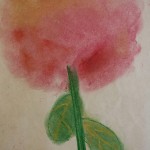 Pretty Pink Hydrangea by Maggie - Age 8