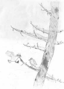 Bird Couple on a Winter Pine - Grayson - Age 9