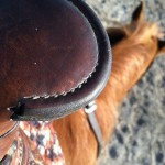 Tatum Cranford - View from the Saddle - Photography - 13